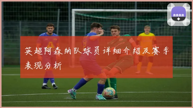 英超阿森纳队球员详细介绍及赛季表现分析