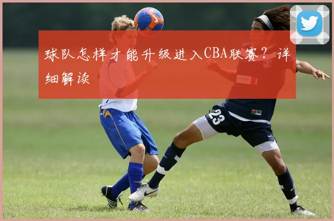 球队怎样才能升级进入CBA联赛？详细解读